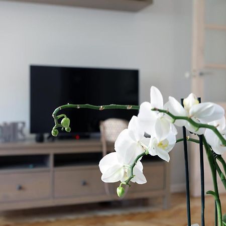 Apartament Turkus Stettino Esterno foto