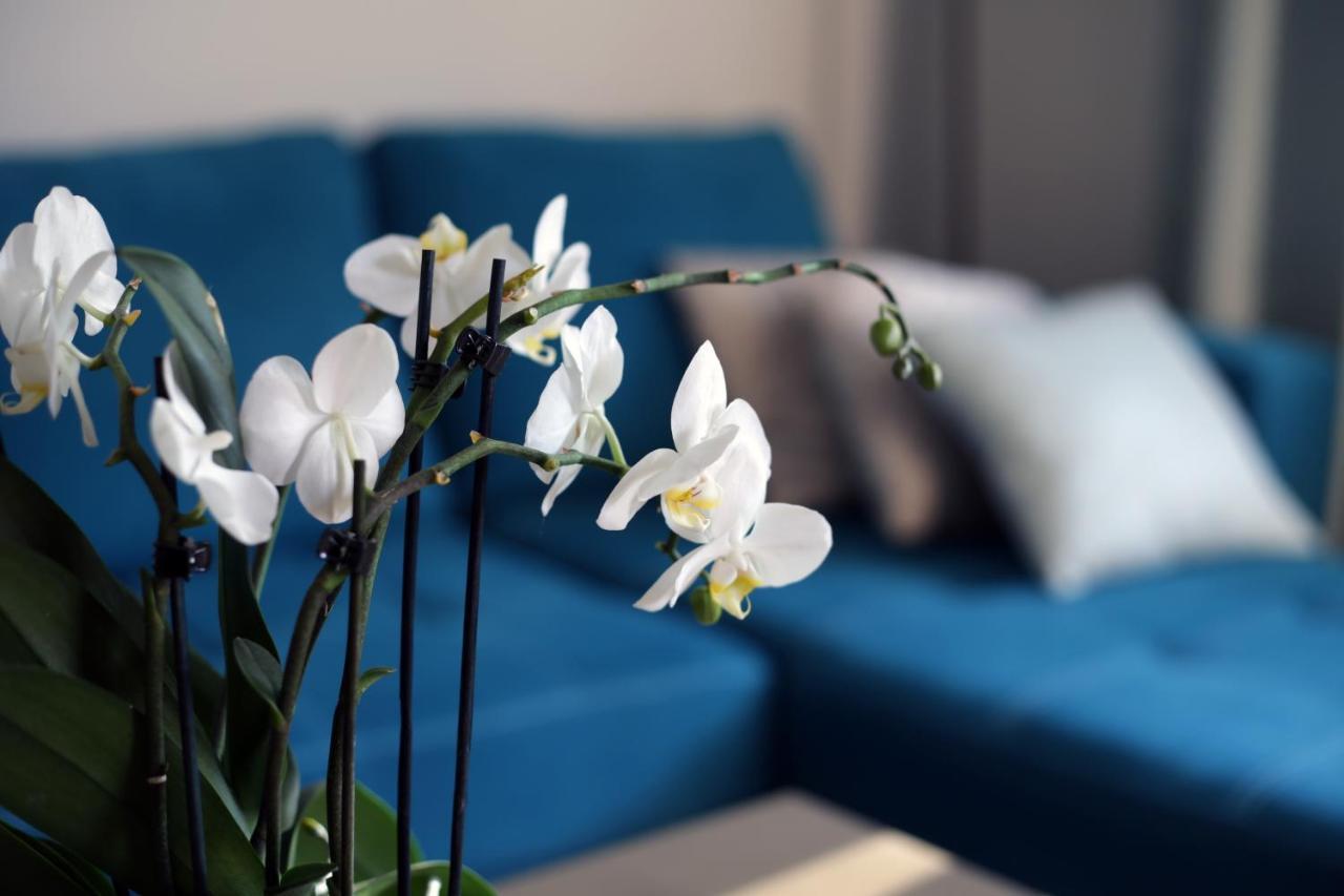 Apartament Turkus Stettino Esterno foto